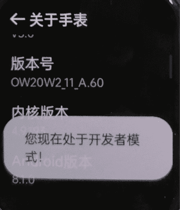 图片[4]-安卓手表安装第三方软件-JACK小桔子の小屋