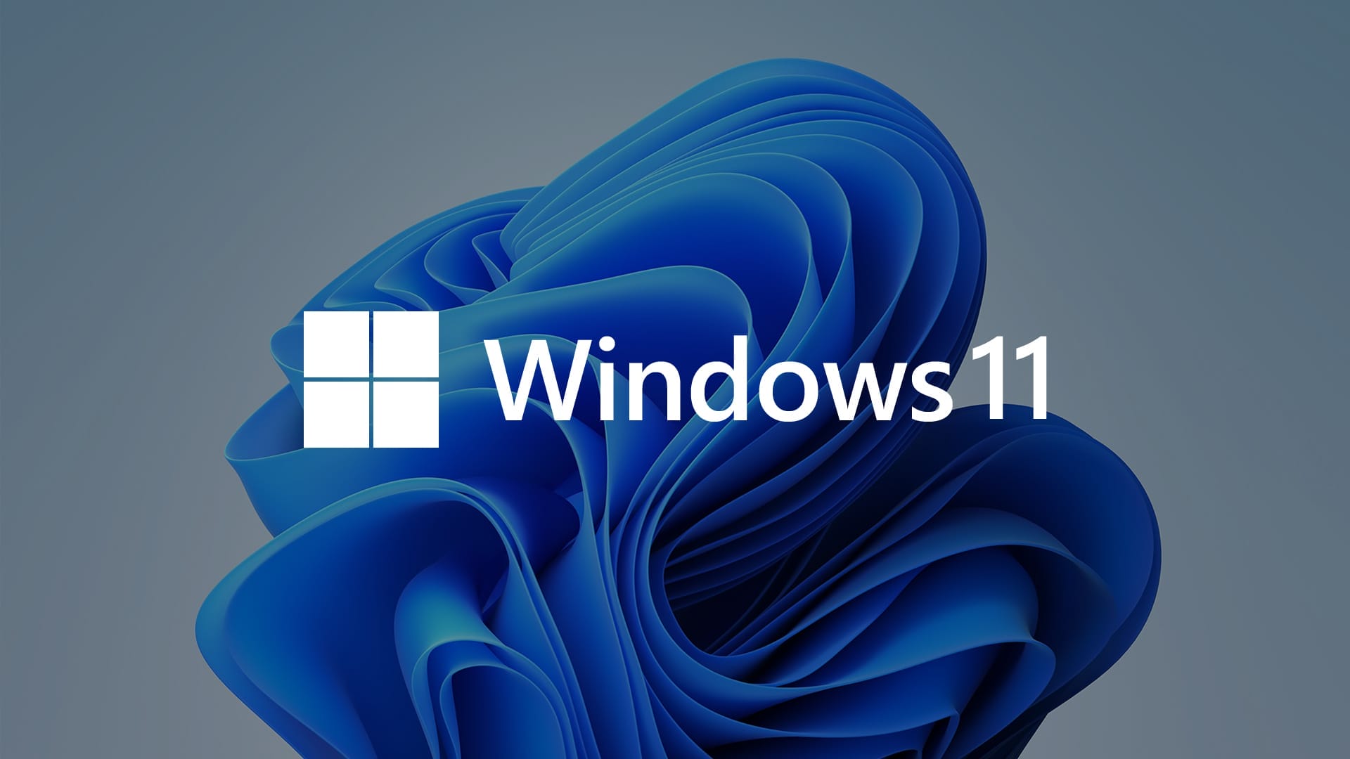 微软 Windows 11 正式发布-JACK小桔子の小屋